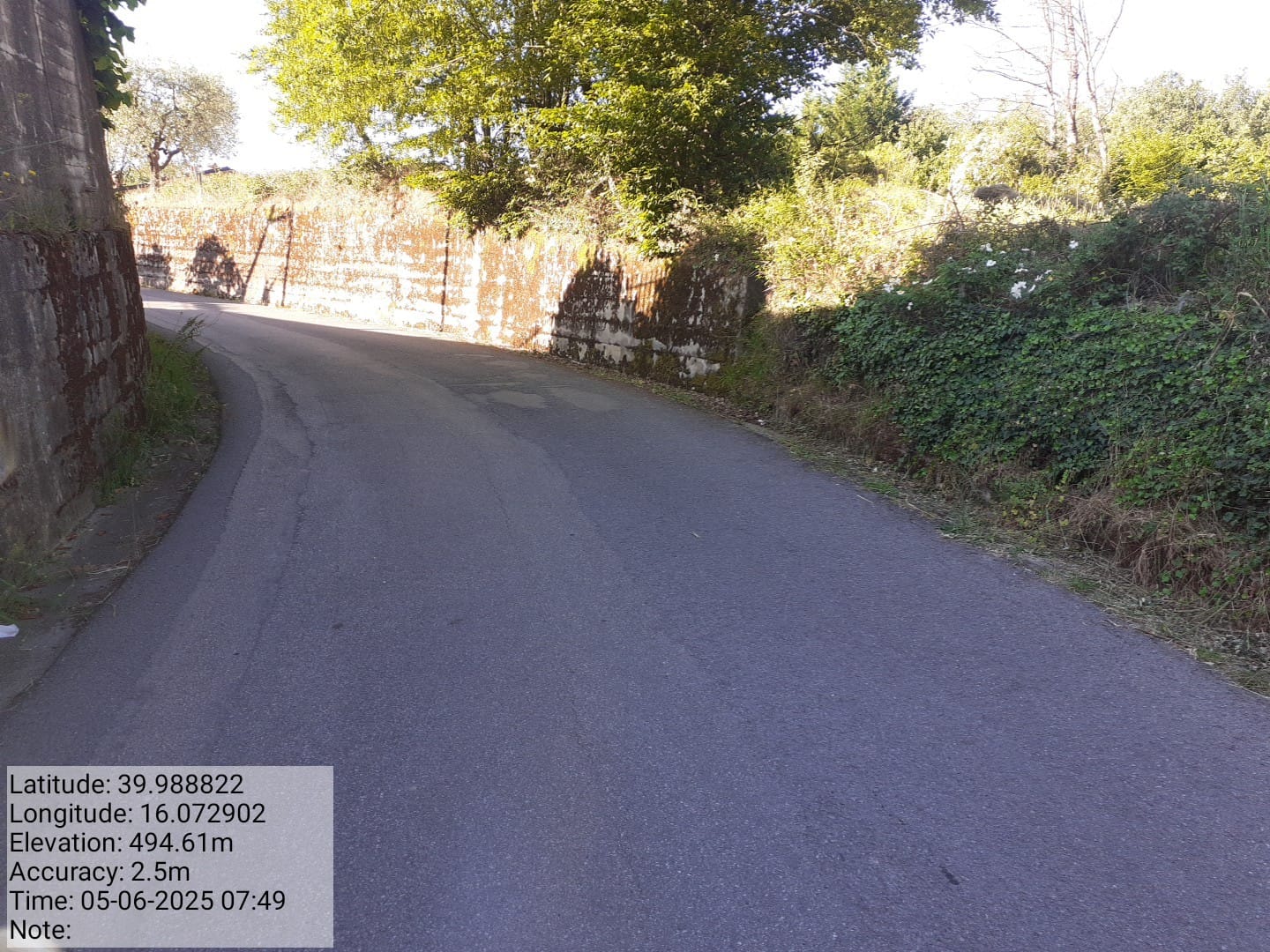 Galleria Fotografica Immagine