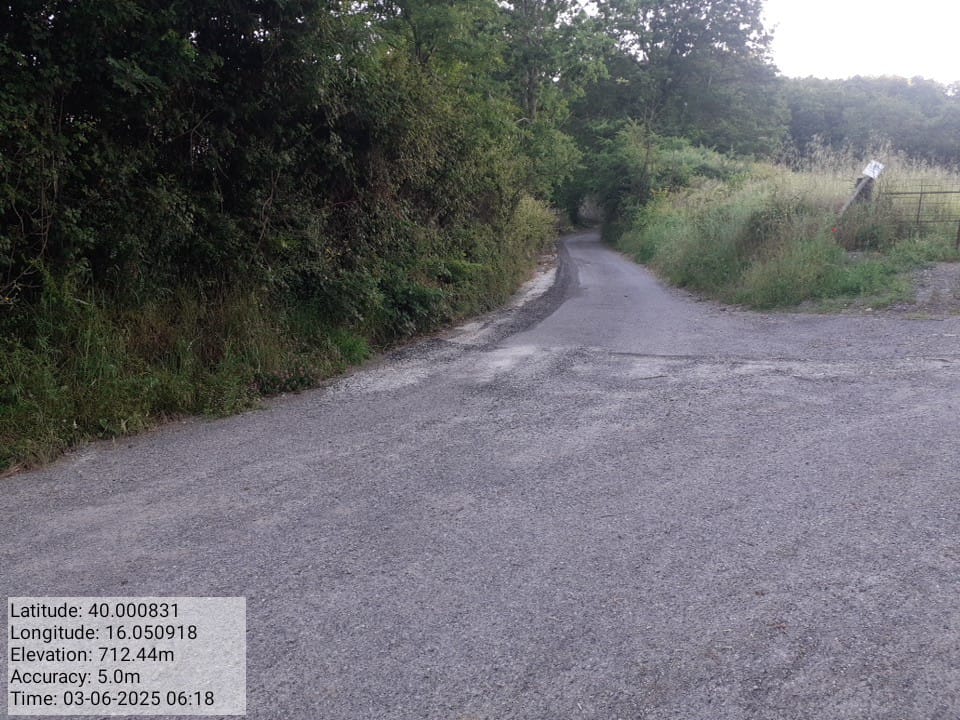 Galleria Fotografica Immagine