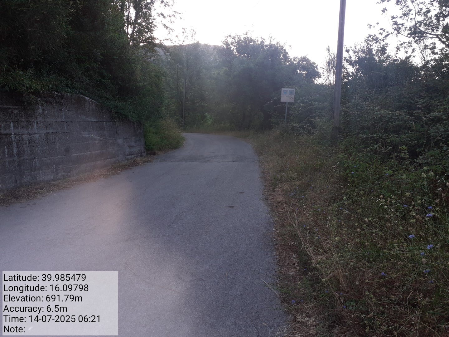 Galleria Fotografica Immagine