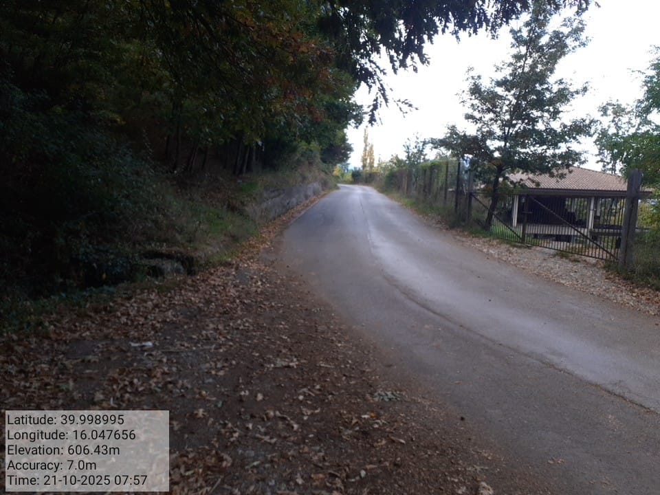 Galleria Fotografica Immagine