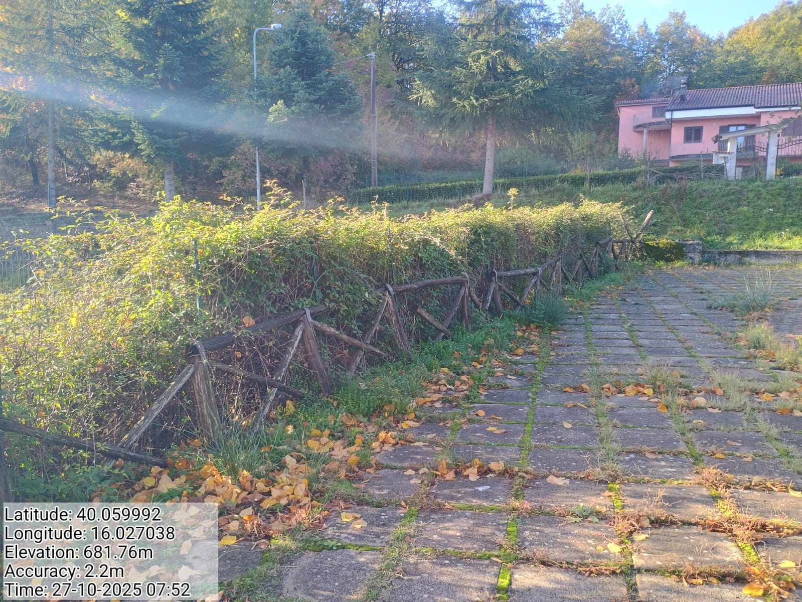 Galleria Fotografica Immagine