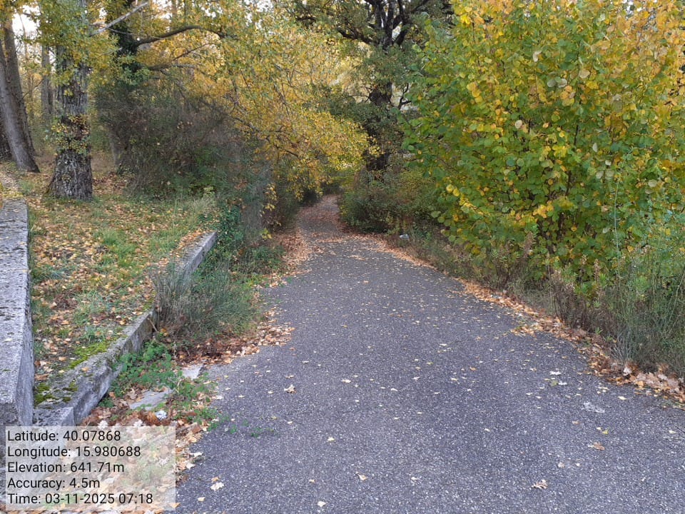 Galleria Fotografica Immagine