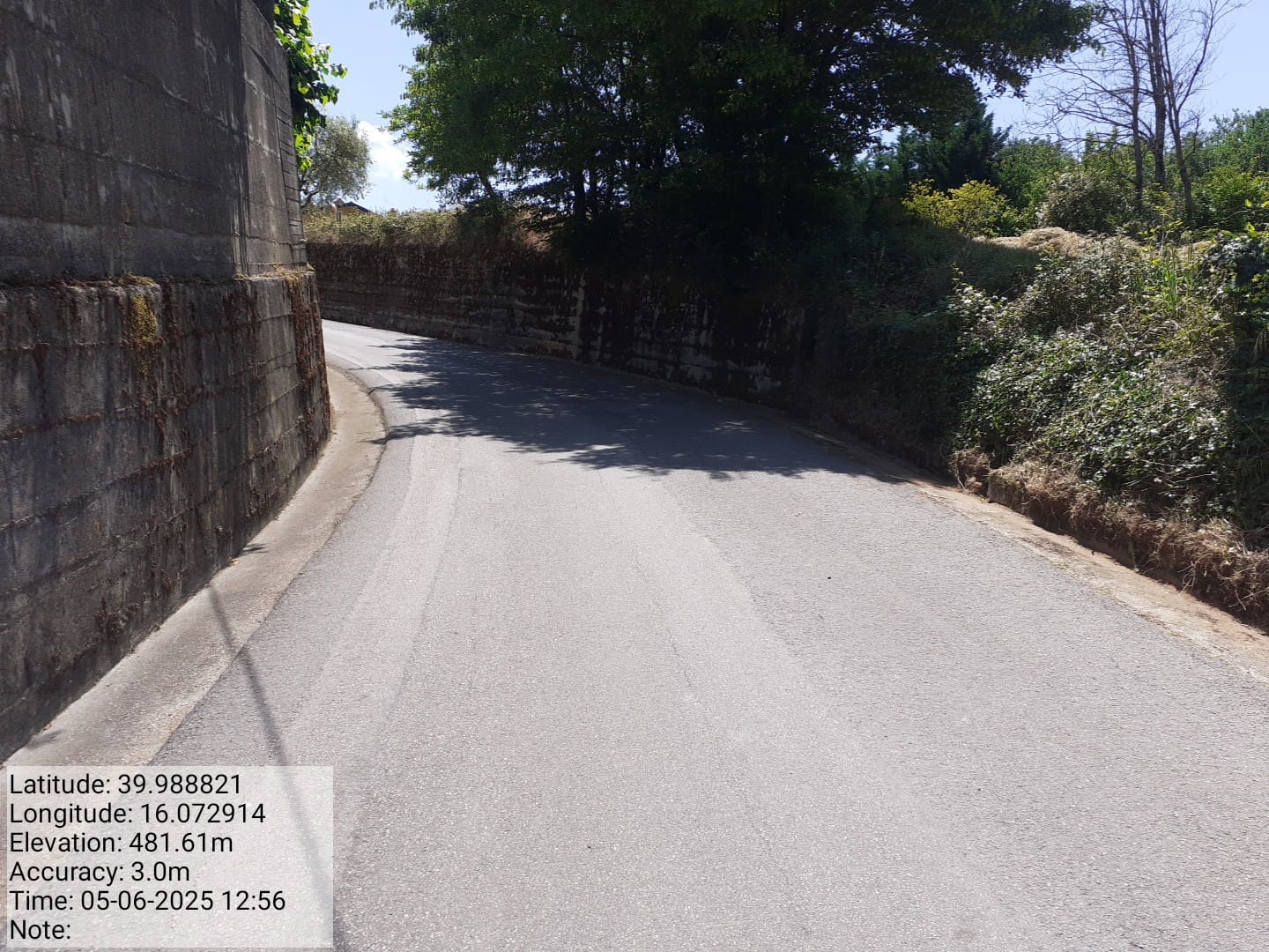 Galleria Fotografica Immagine