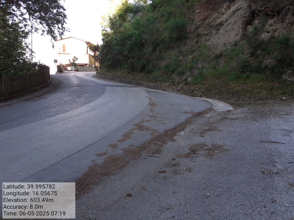 Galleria Fotografica Immagine