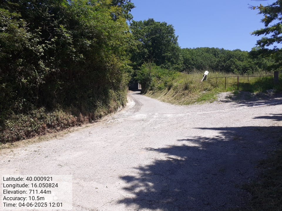 Galleria Fotografica Immagine