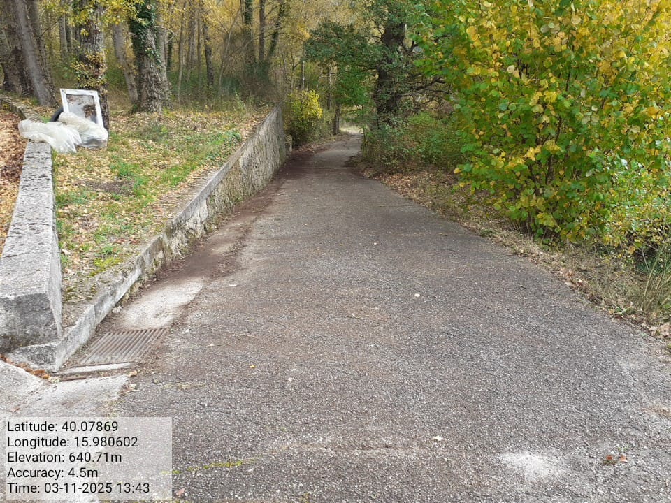 Galleria Fotografica Immagine