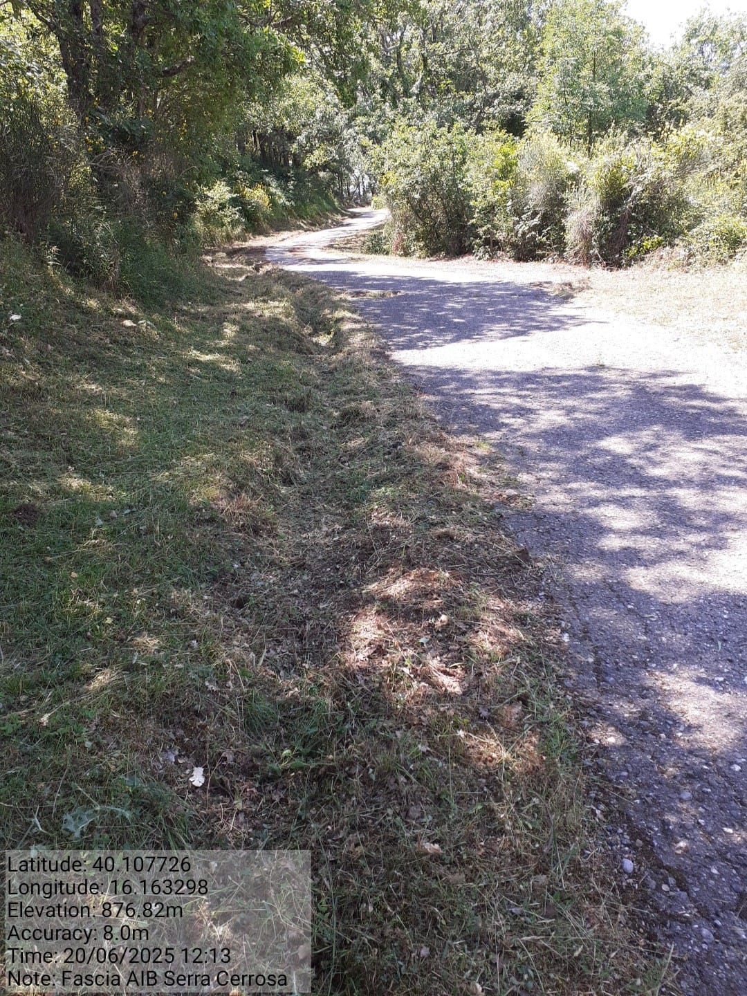 Galleria Fotografica Immagine