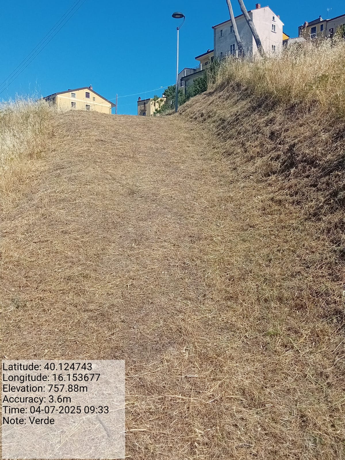 Galleria Fotografica Immagine