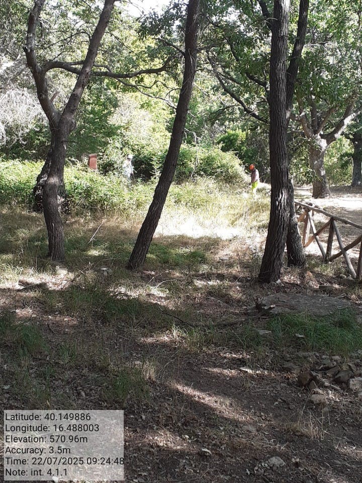 Galleria Fotografica Immagine