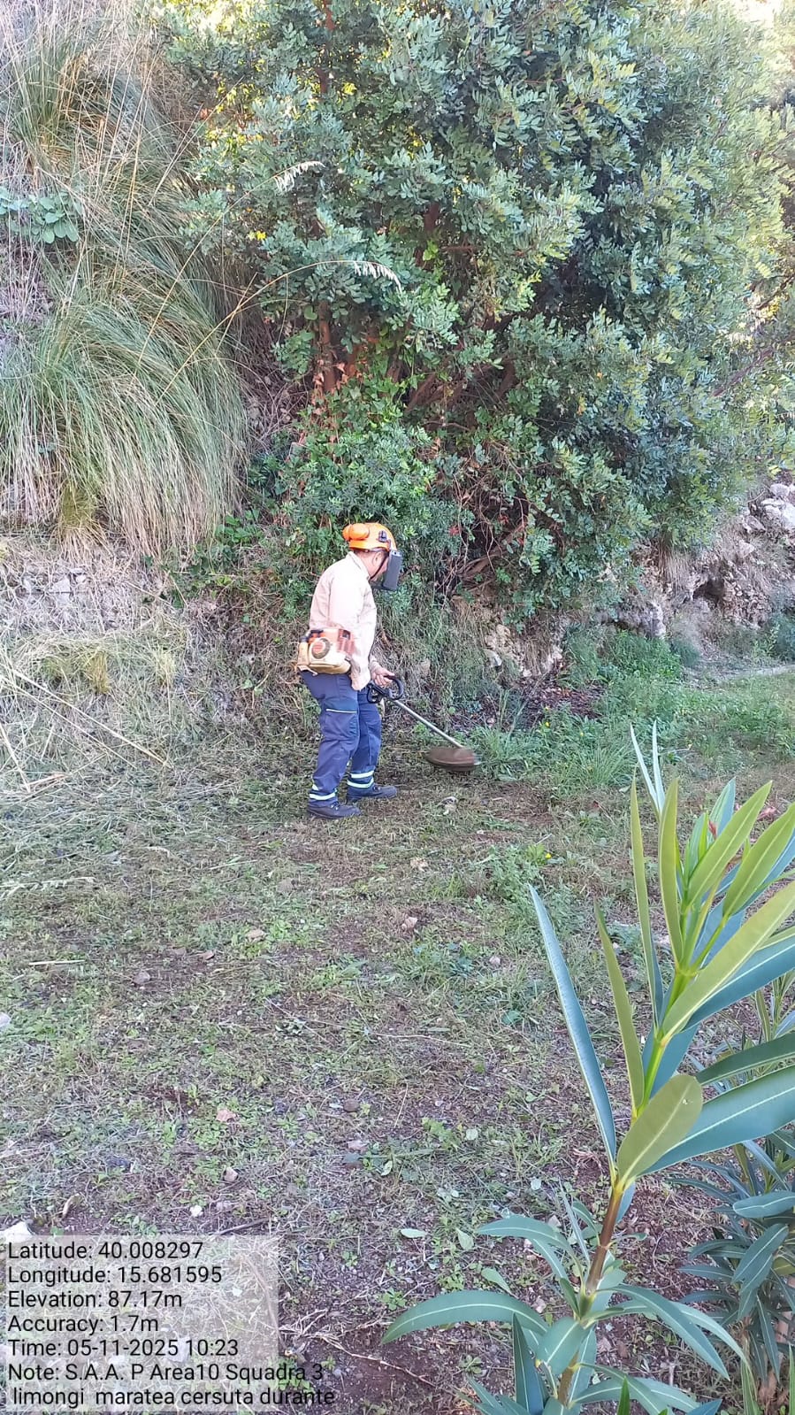 Galleria Fotografica Immagine