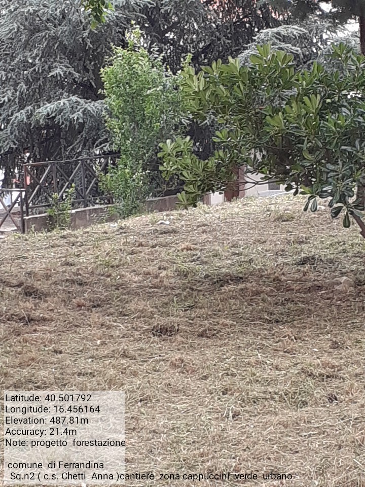 Galleria Fotografica Immagine