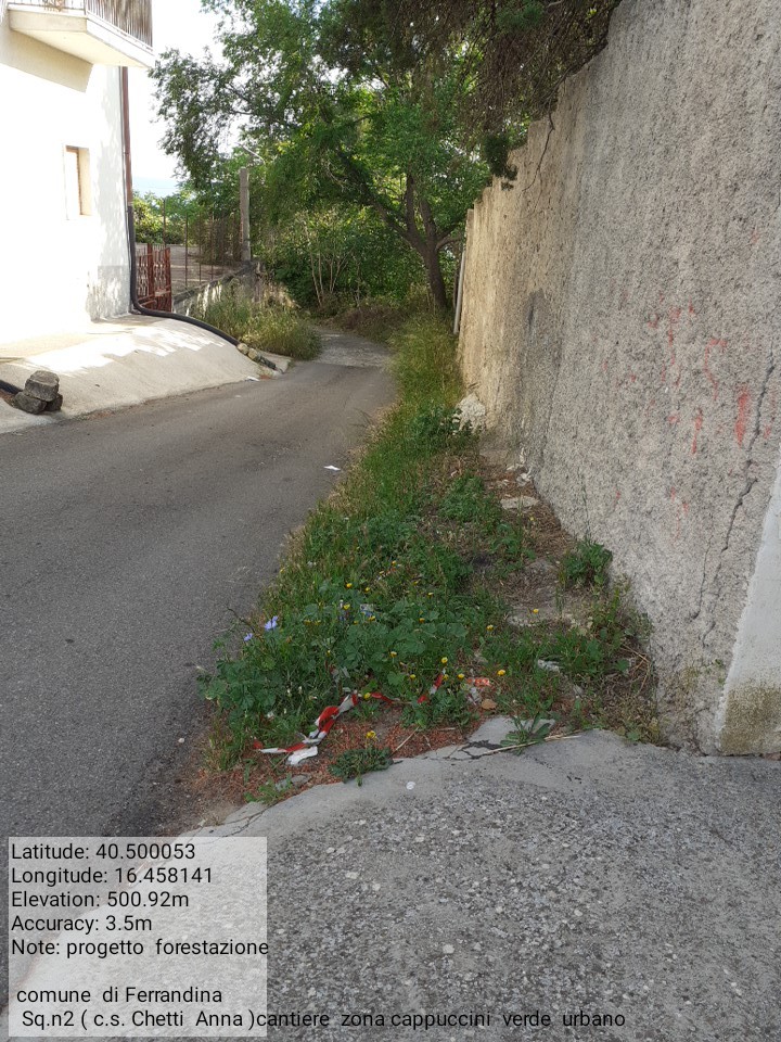 Galleria Fotografica Immagine