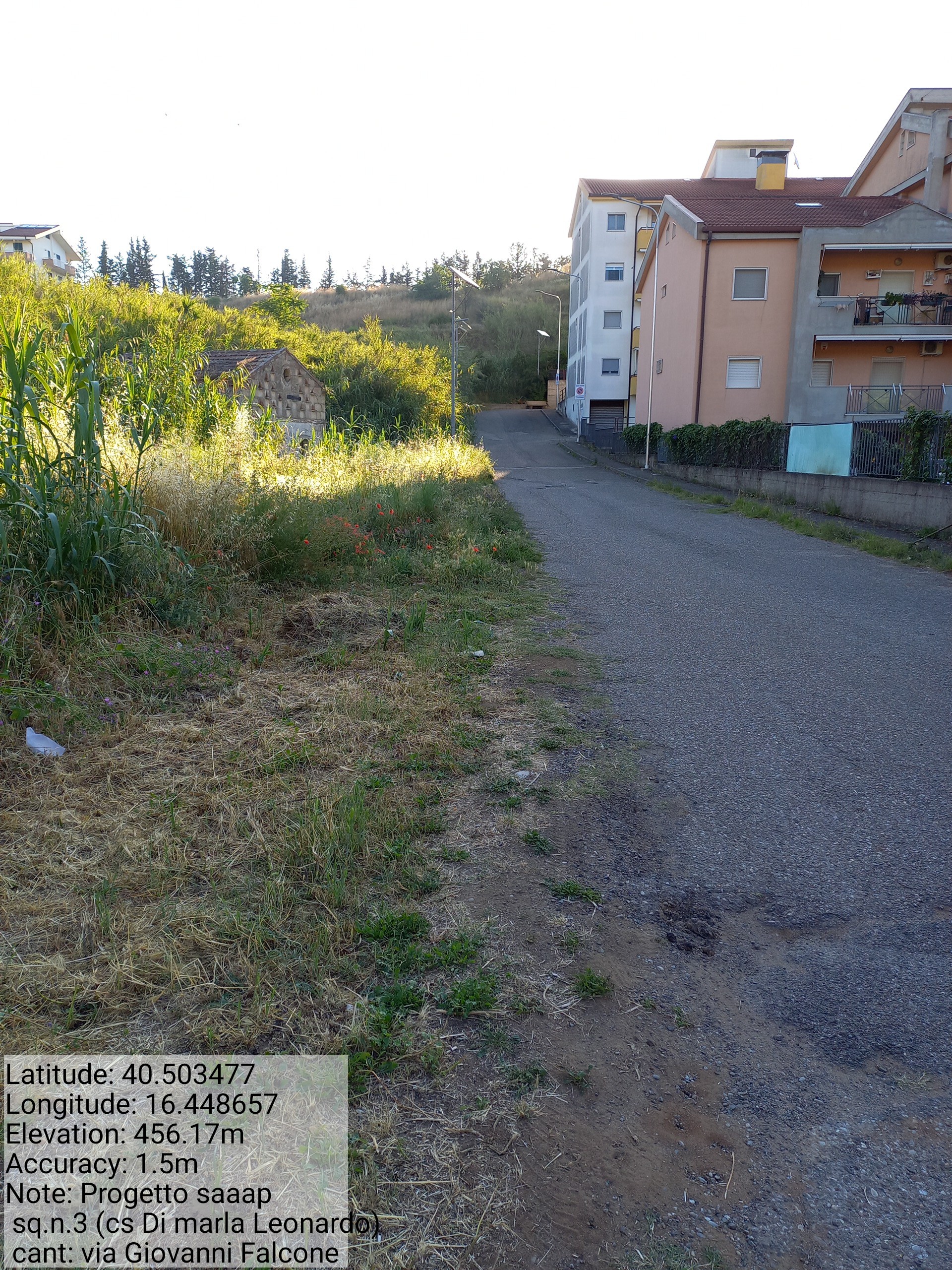 Galleria Fotografica Immagine