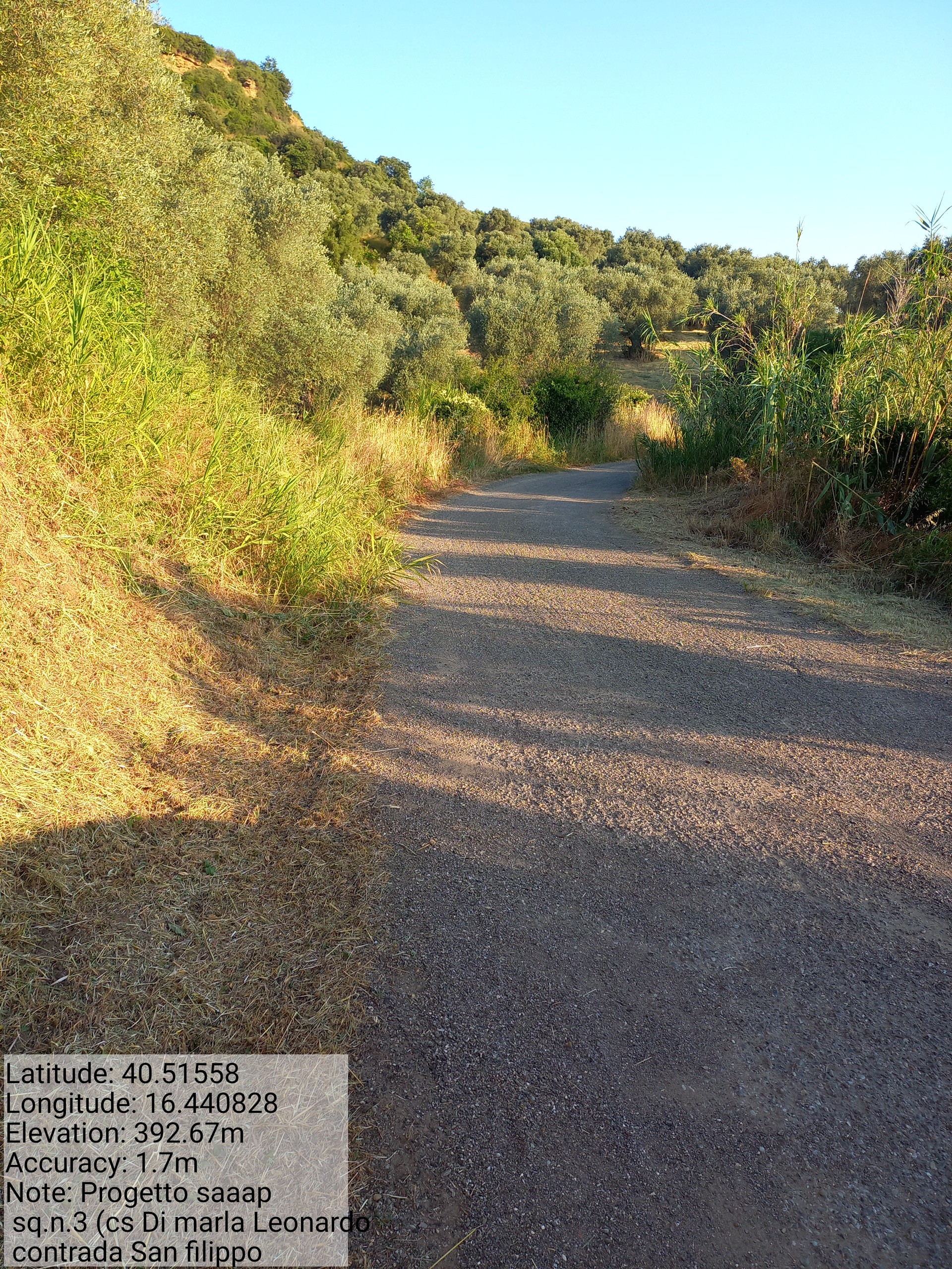 Galleria Fotografica Immagine