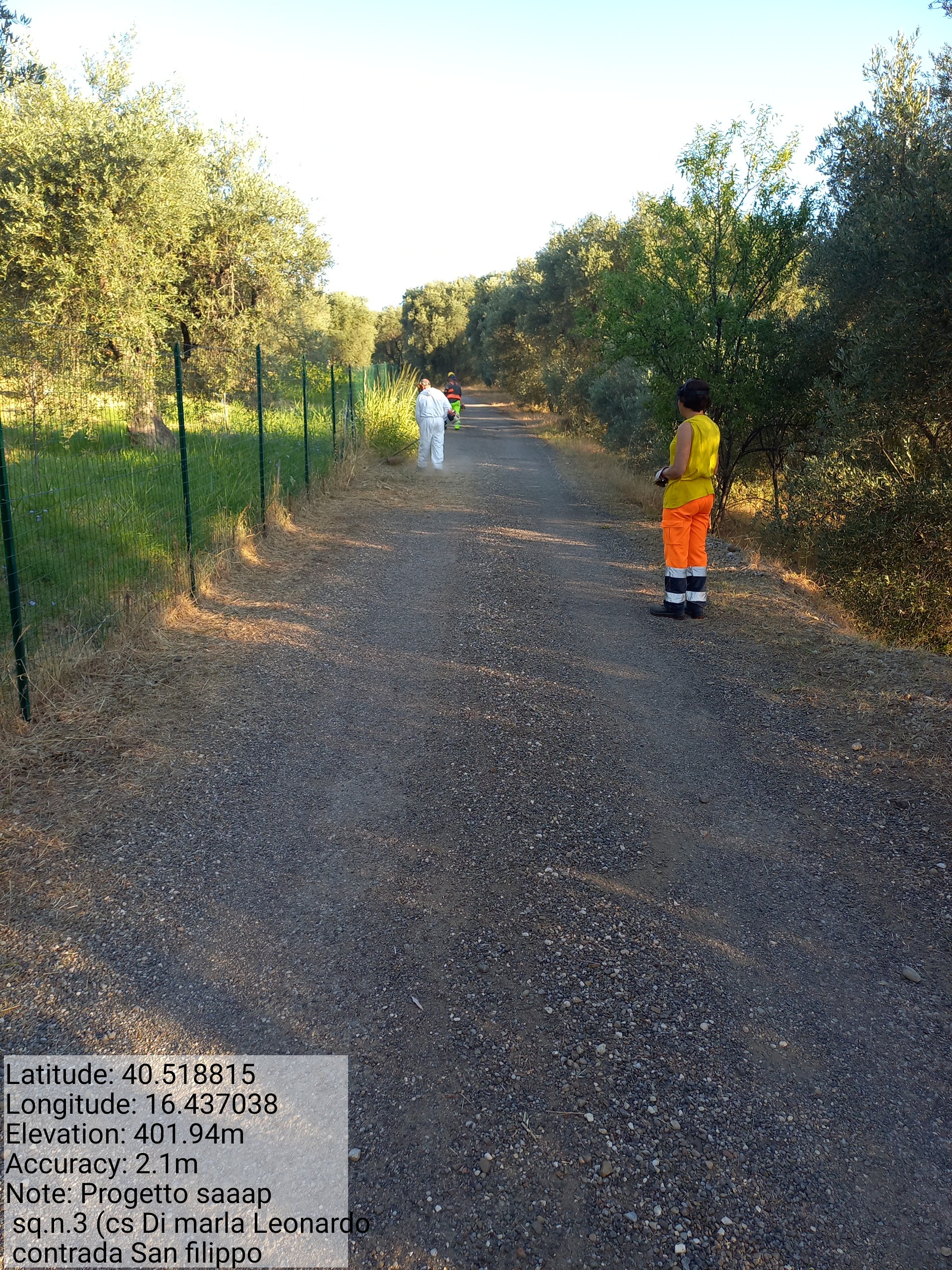 Galleria Fotografica Immagine