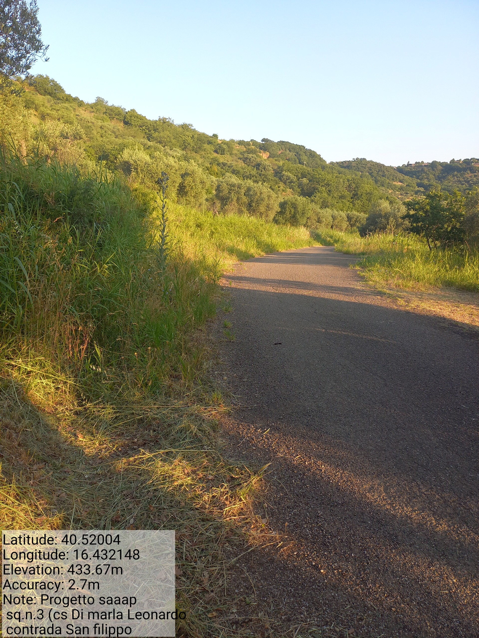 Galleria Fotografica Immagine