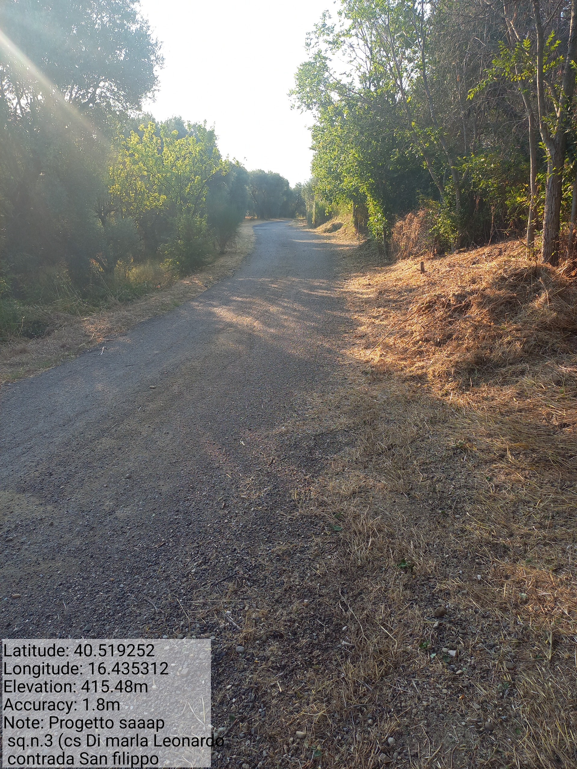 Galleria Fotografica Immagine