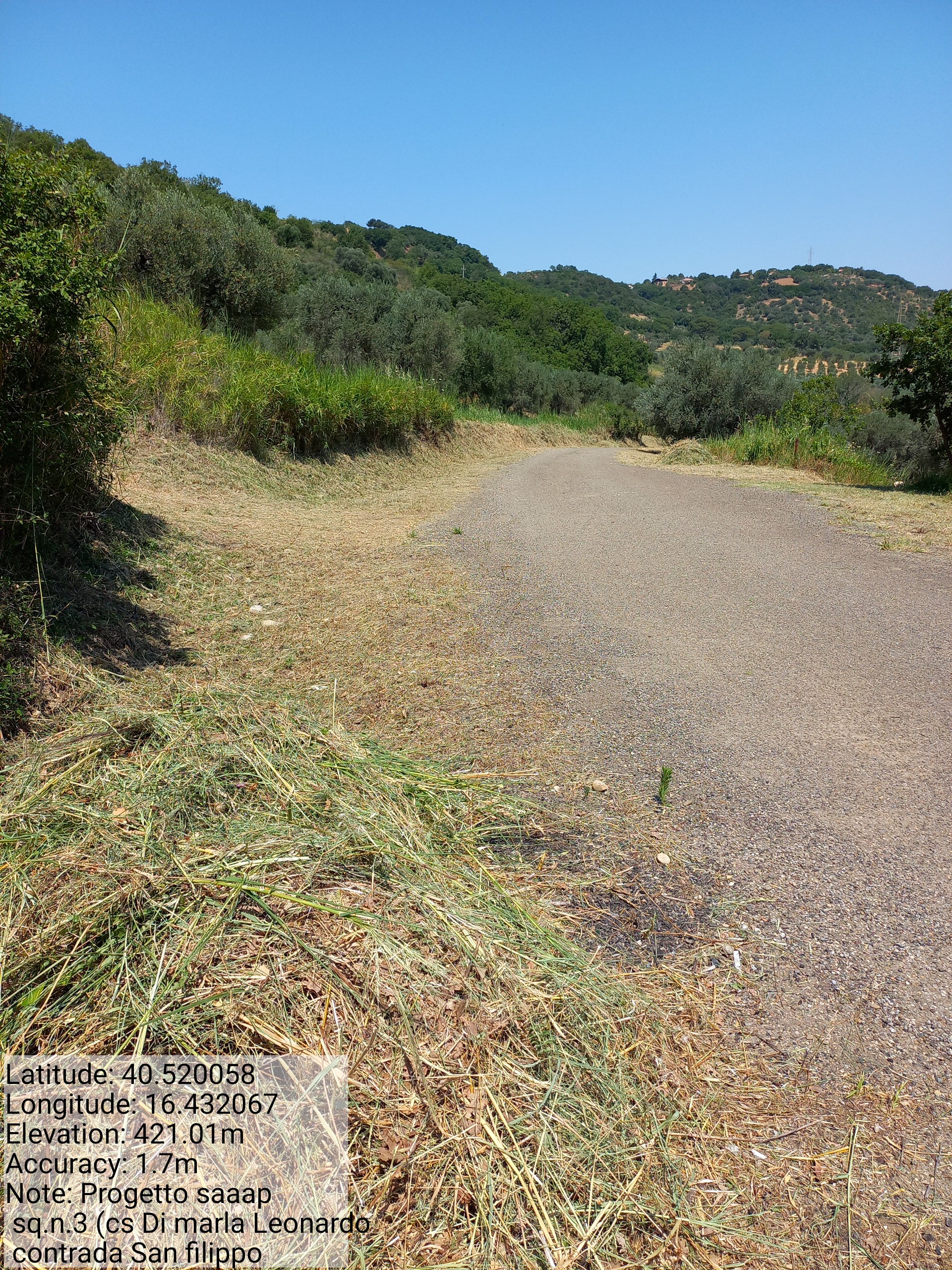 Galleria Fotografica Immagine