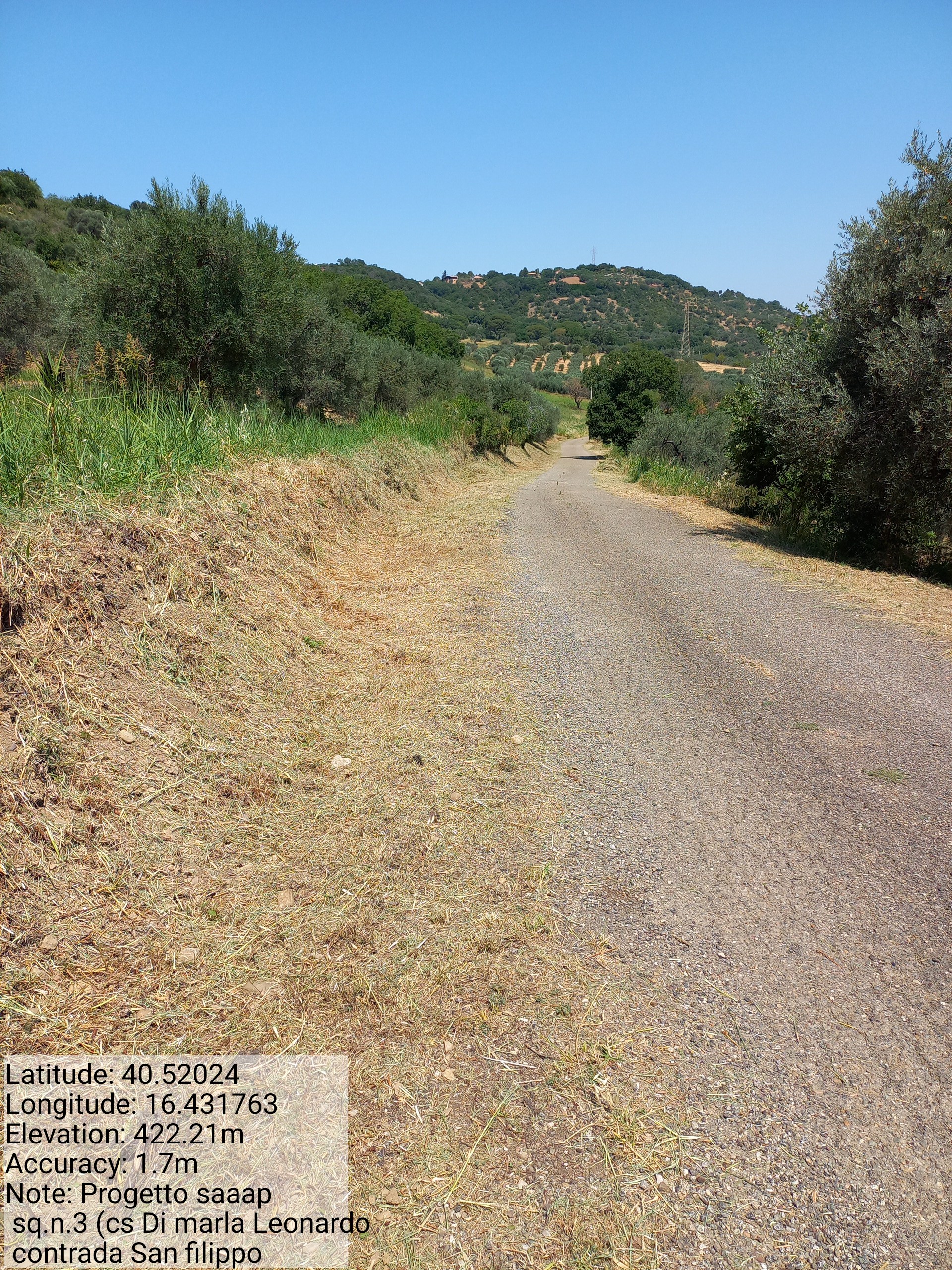 Galleria Fotografica Immagine