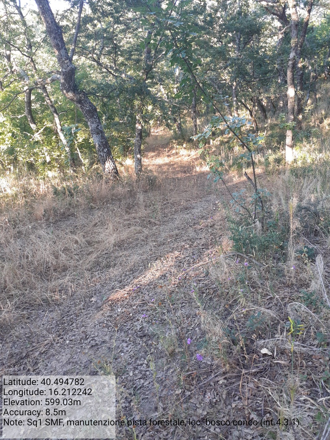 Galleria Fotografica Immagine