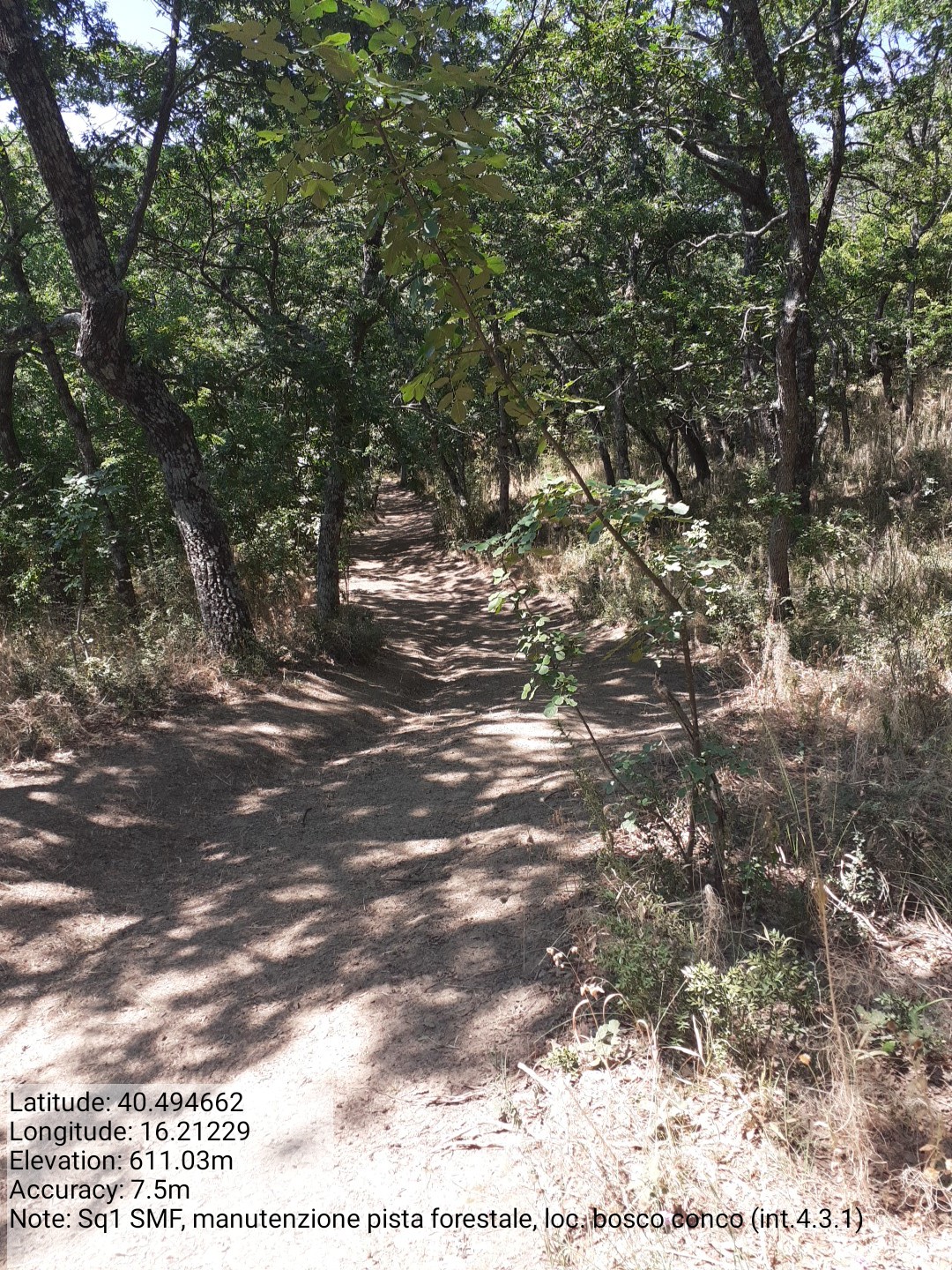 Galleria Fotografica Immagine