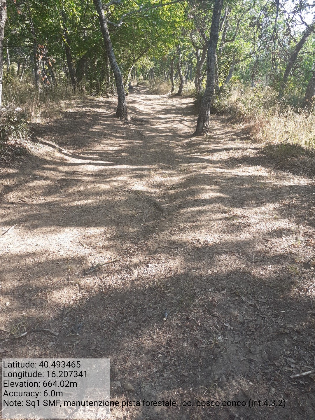 Galleria Fotografica Immagine