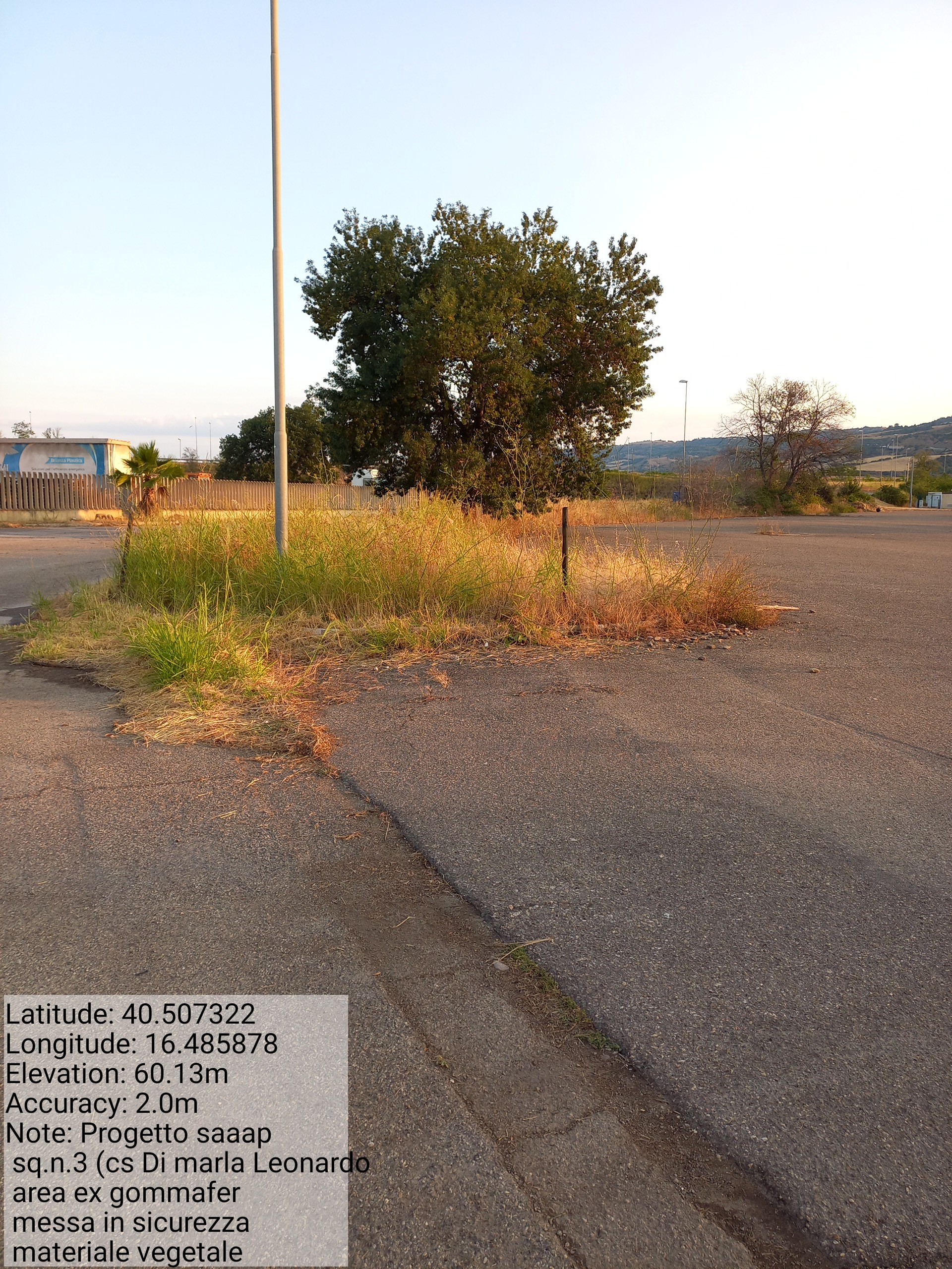 Galleria Fotografica Immagine