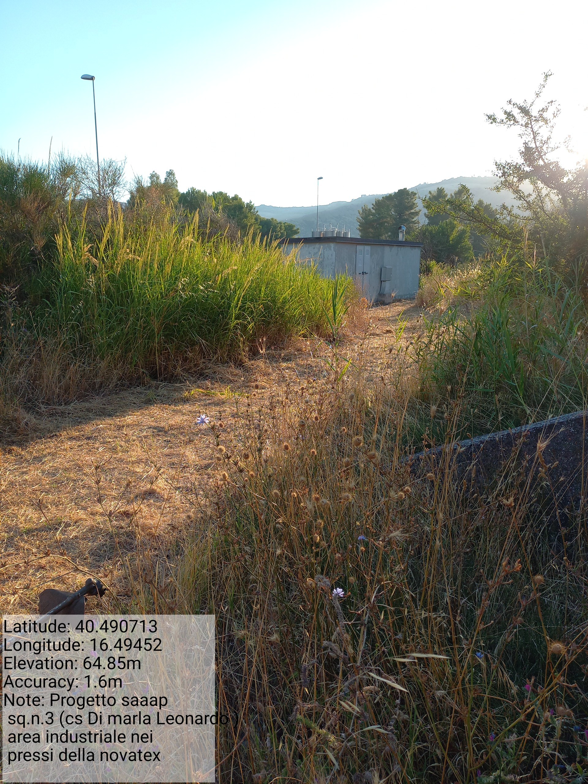 Galleria Fotografica Immagine