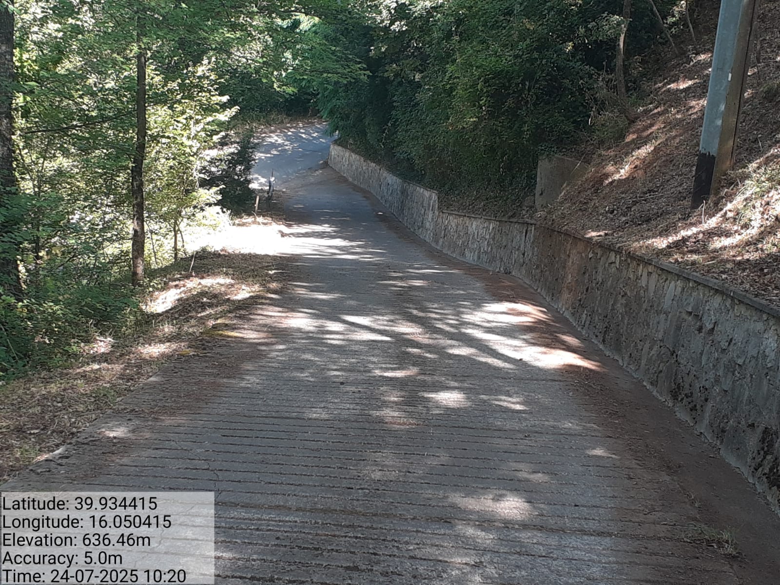 Galleria Fotografica Immagine