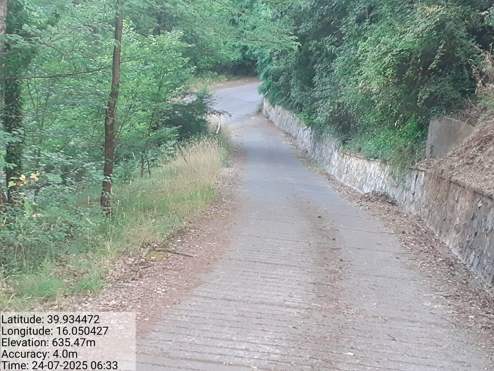 Galleria Fotografica Immagine