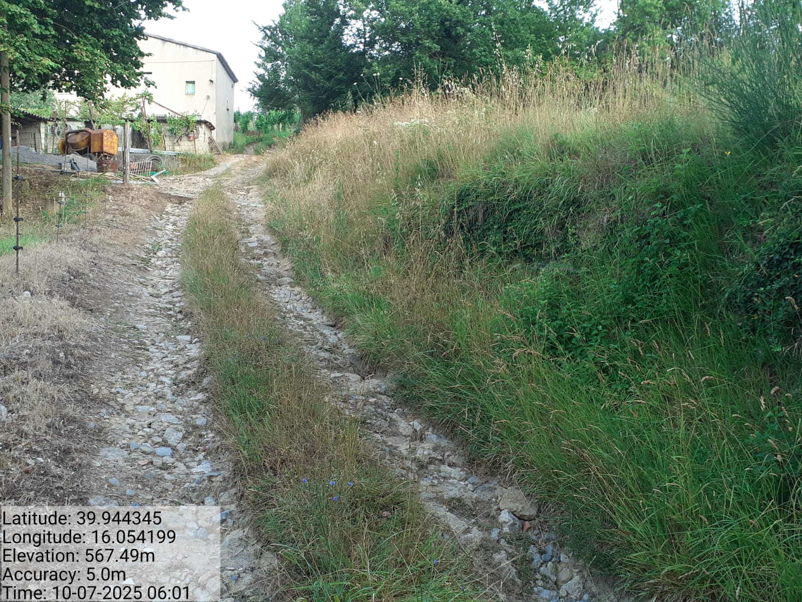 Galleria Fotografica Immagine