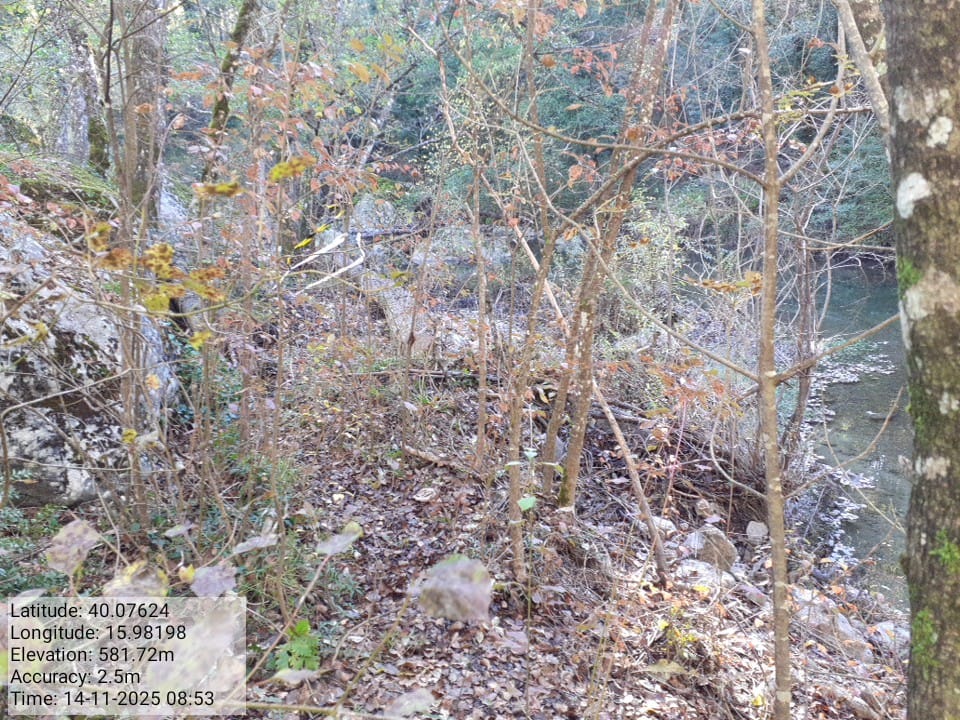 Galleria Fotografica Immagine