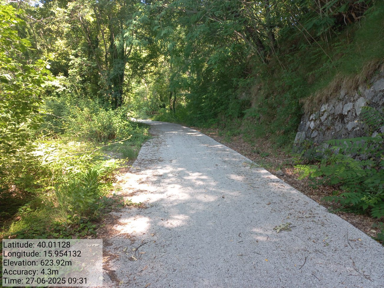 Galleria Fotografica Immagine