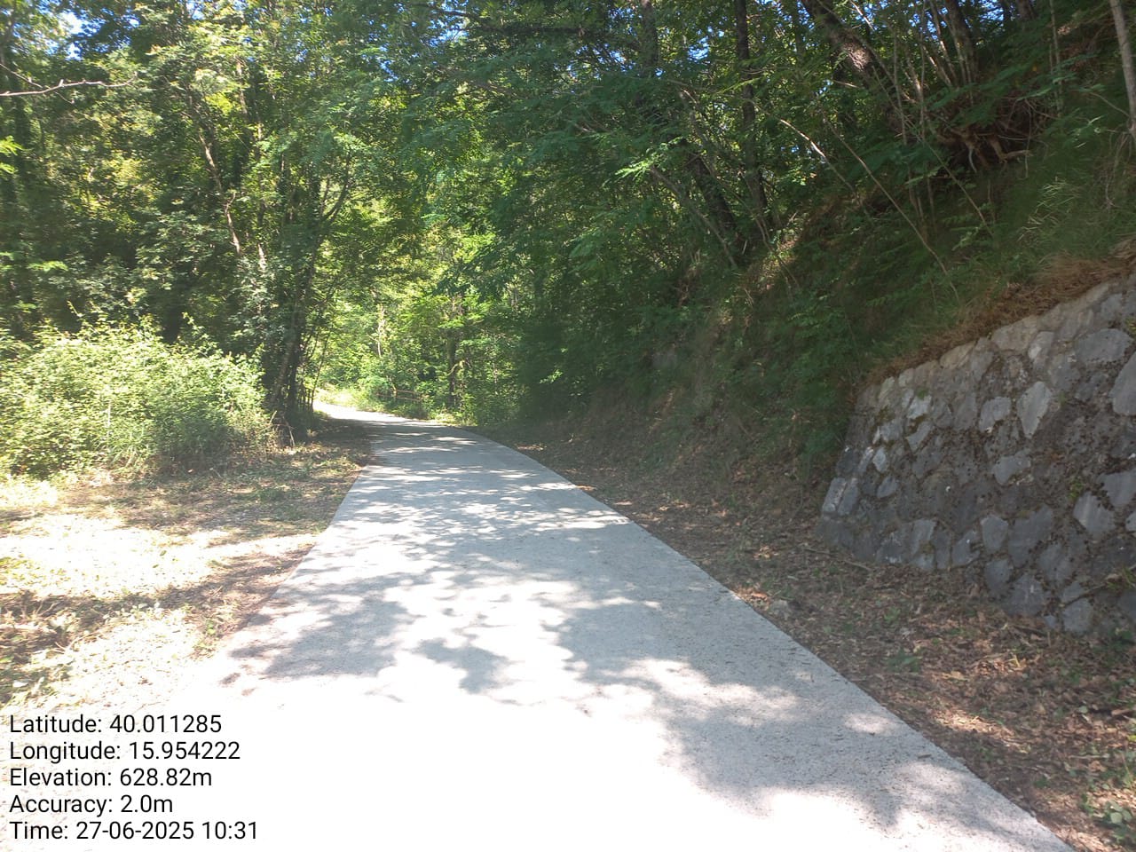 Galleria Fotografica Immagine