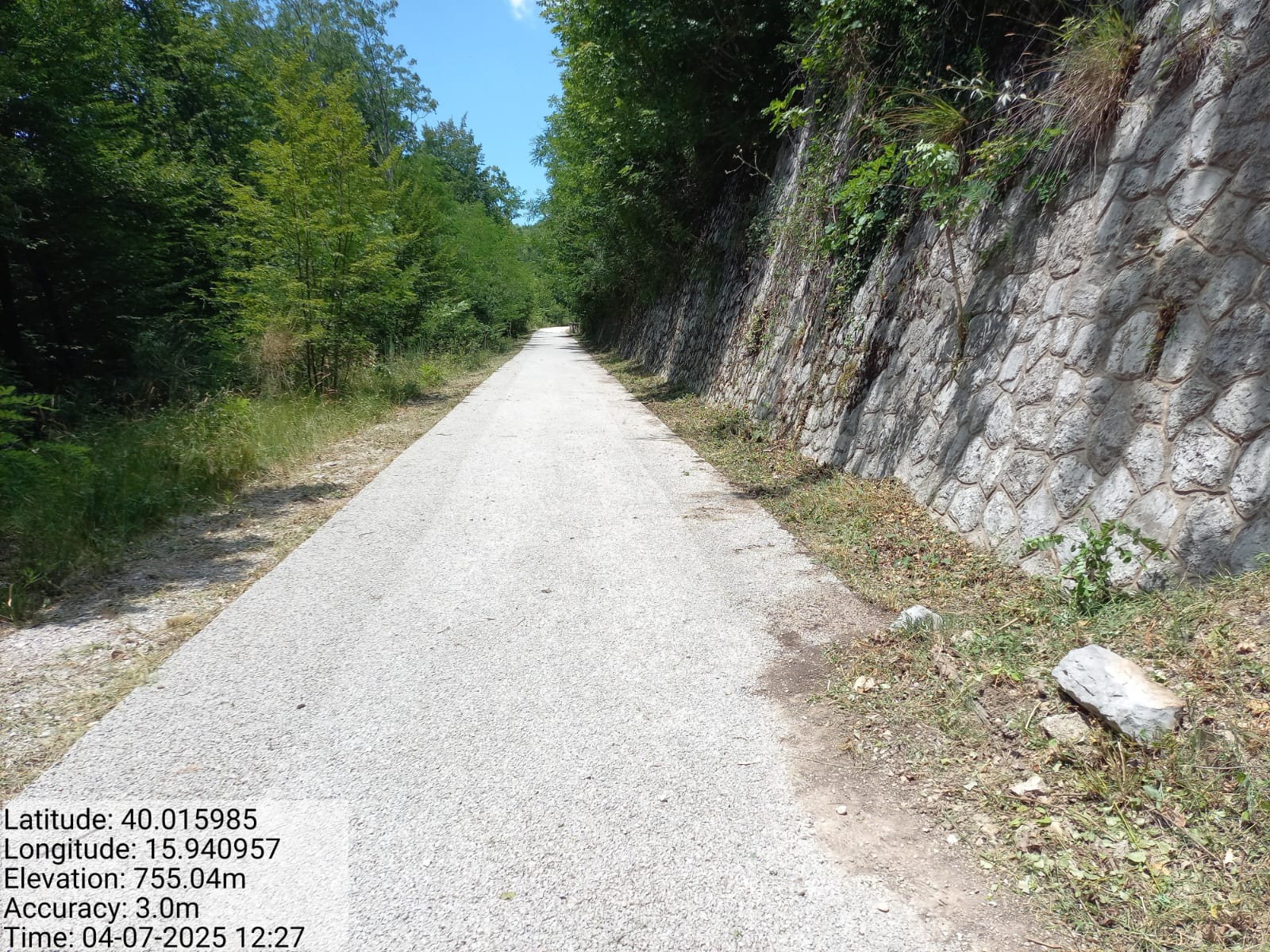 Galleria Fotografica Immagine