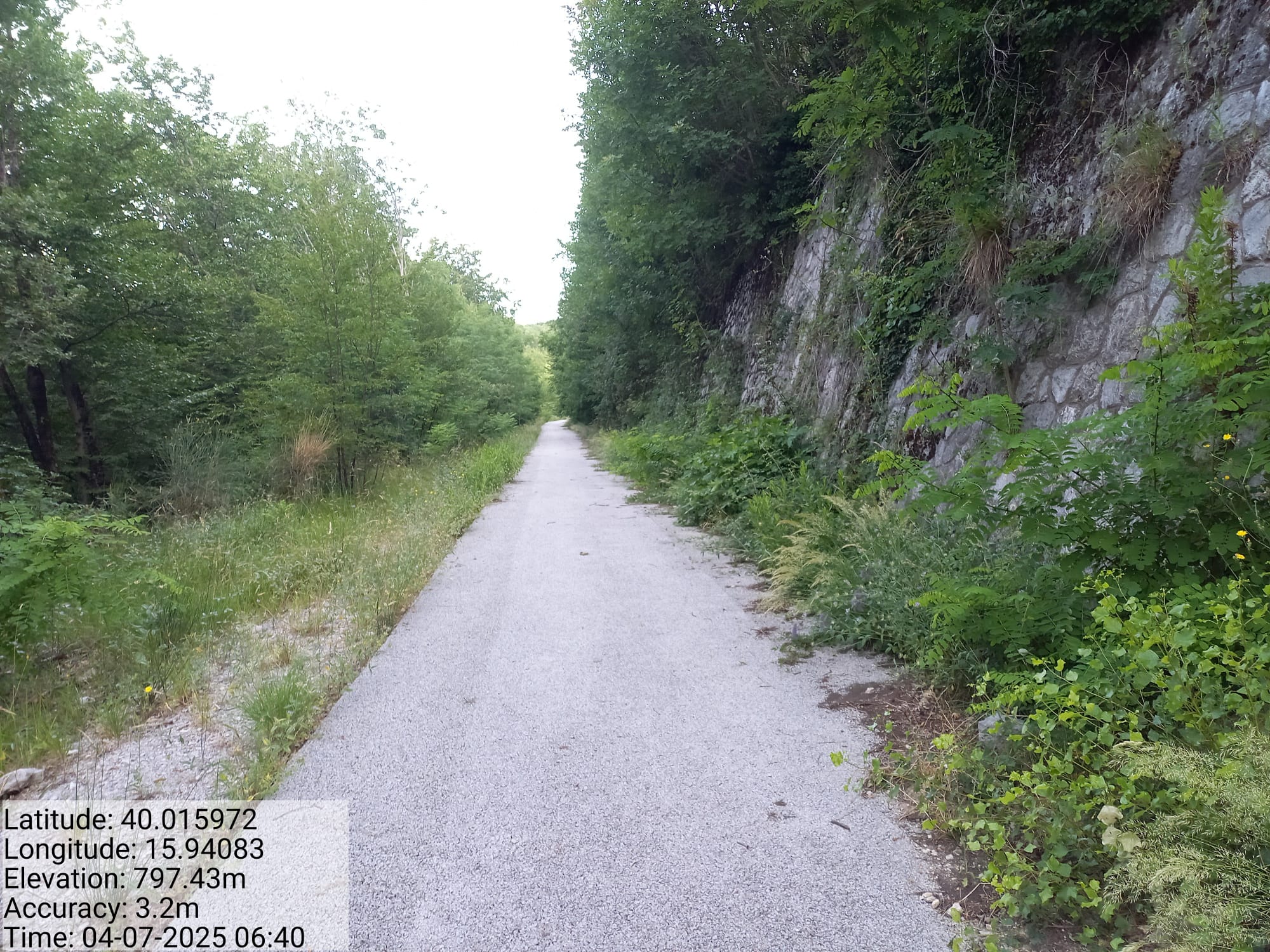 Galleria Fotografica Immagine