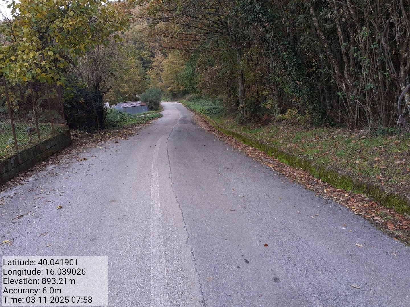 Galleria Fotografica Immagine