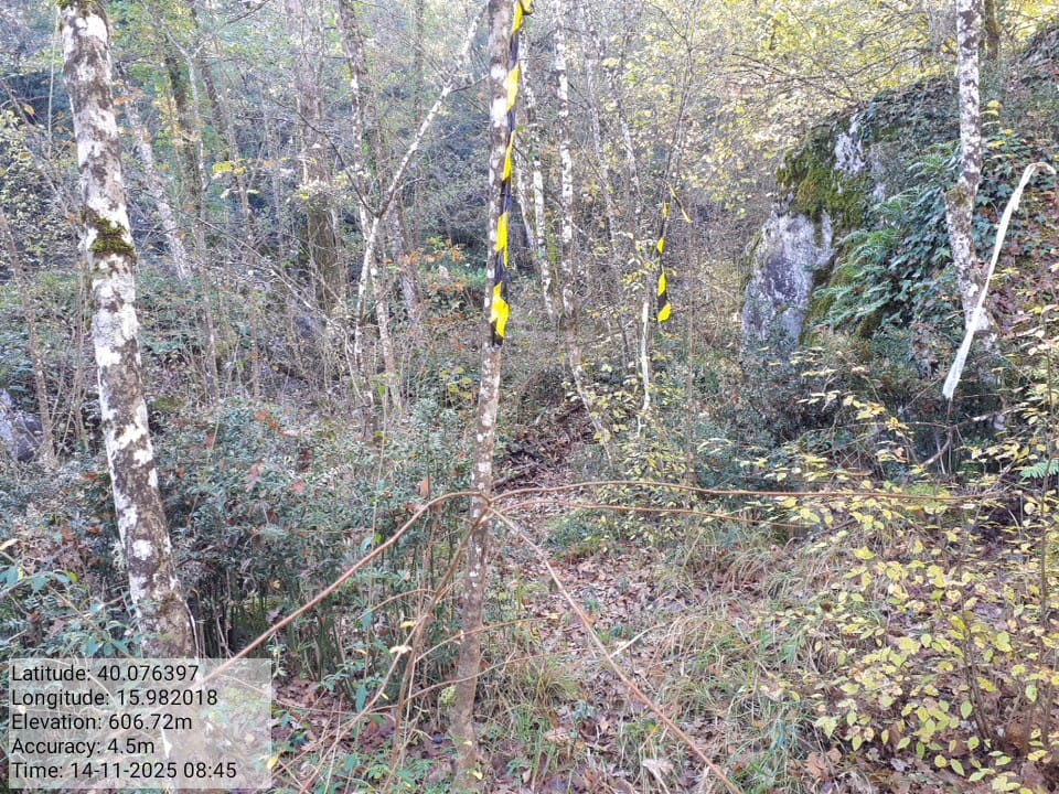 Galleria Fotografica Immagine