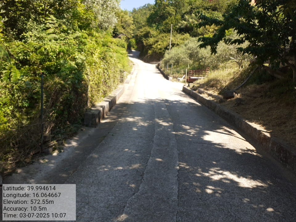 Galleria Fotografica Immagine