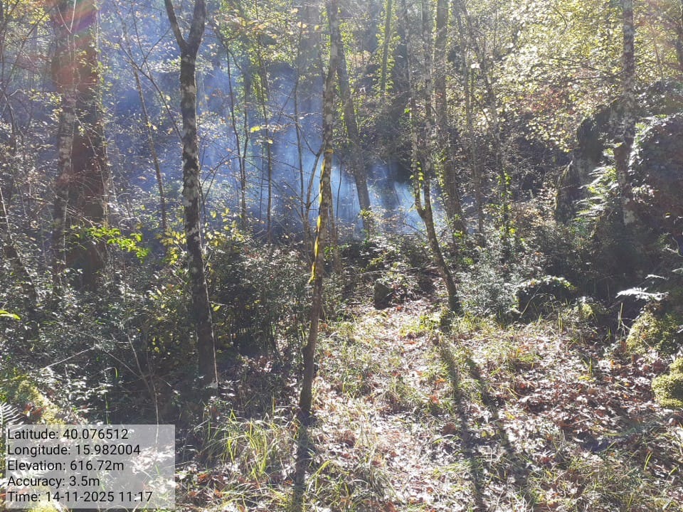 Galleria Fotografica Immagine