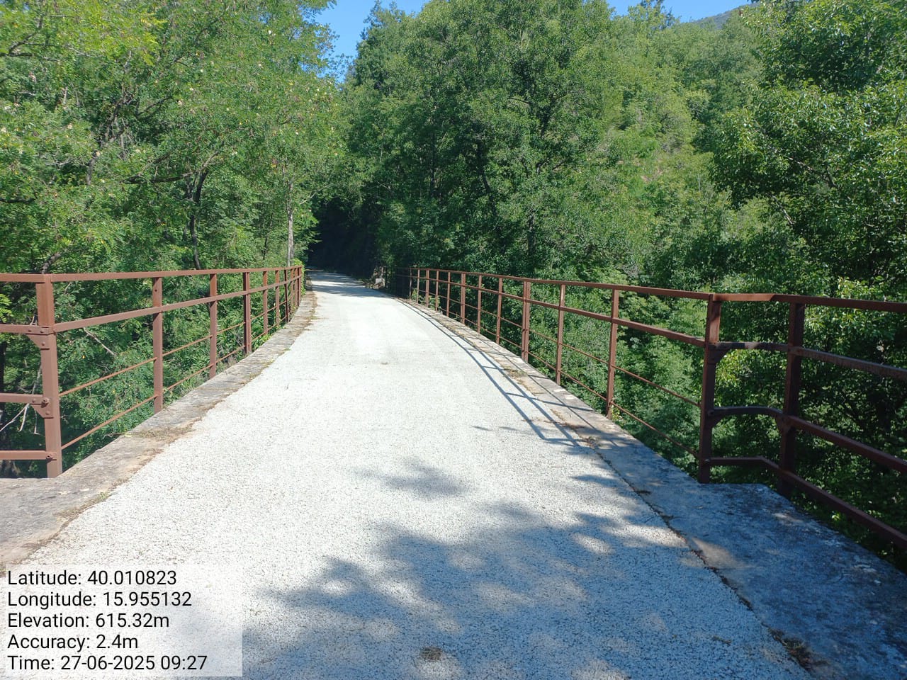 Galleria Fotografica Immagine