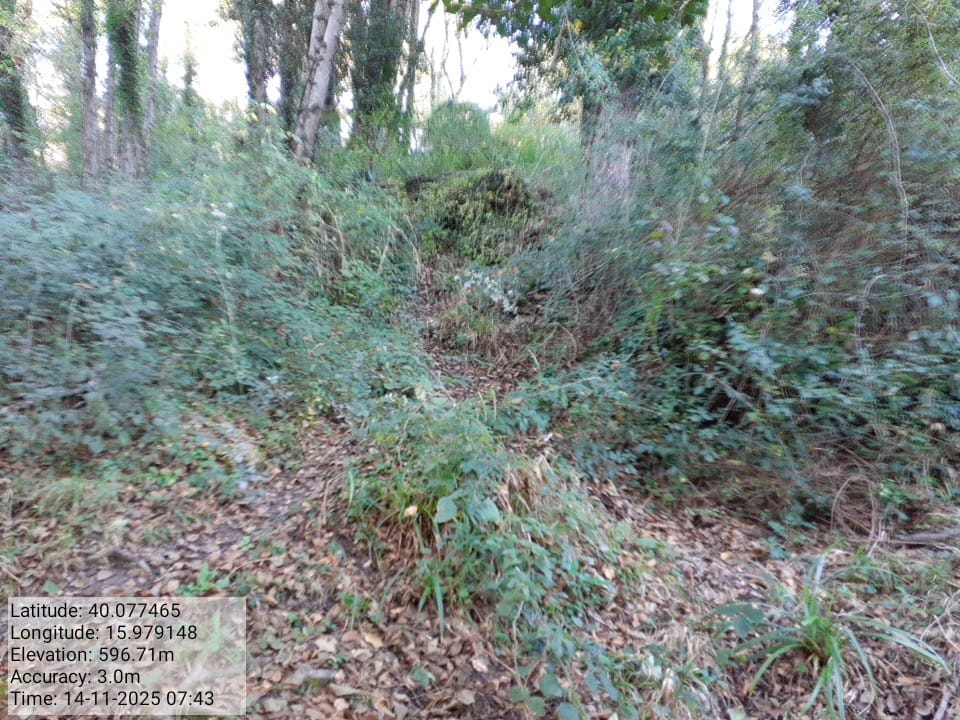 Galleria Fotografica Immagine