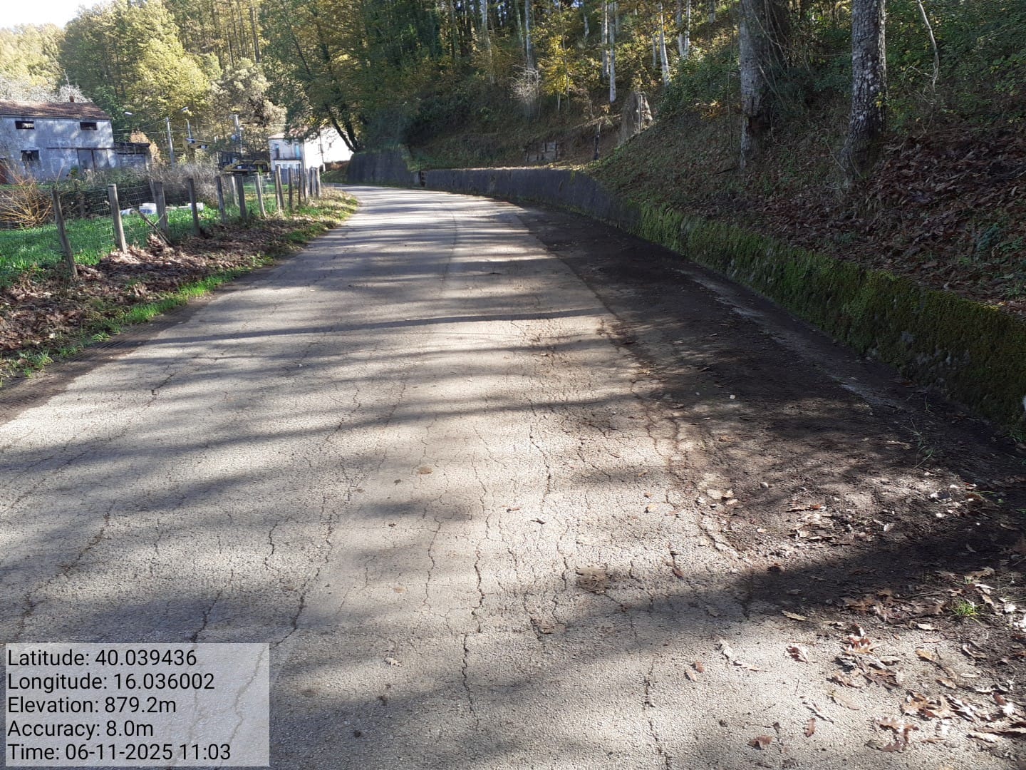 Galleria Fotografica Immagine