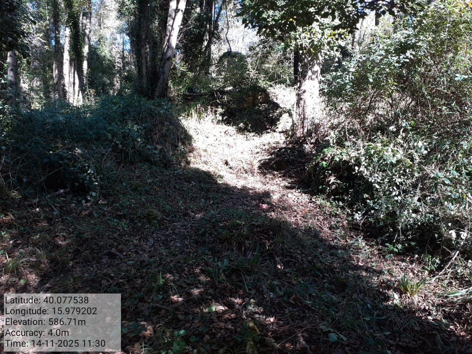 Galleria Fotografica Immagine