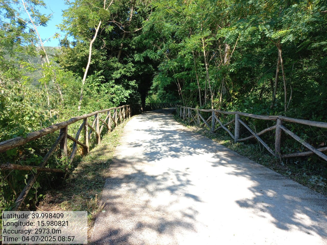 Galleria Fotografica Immagine