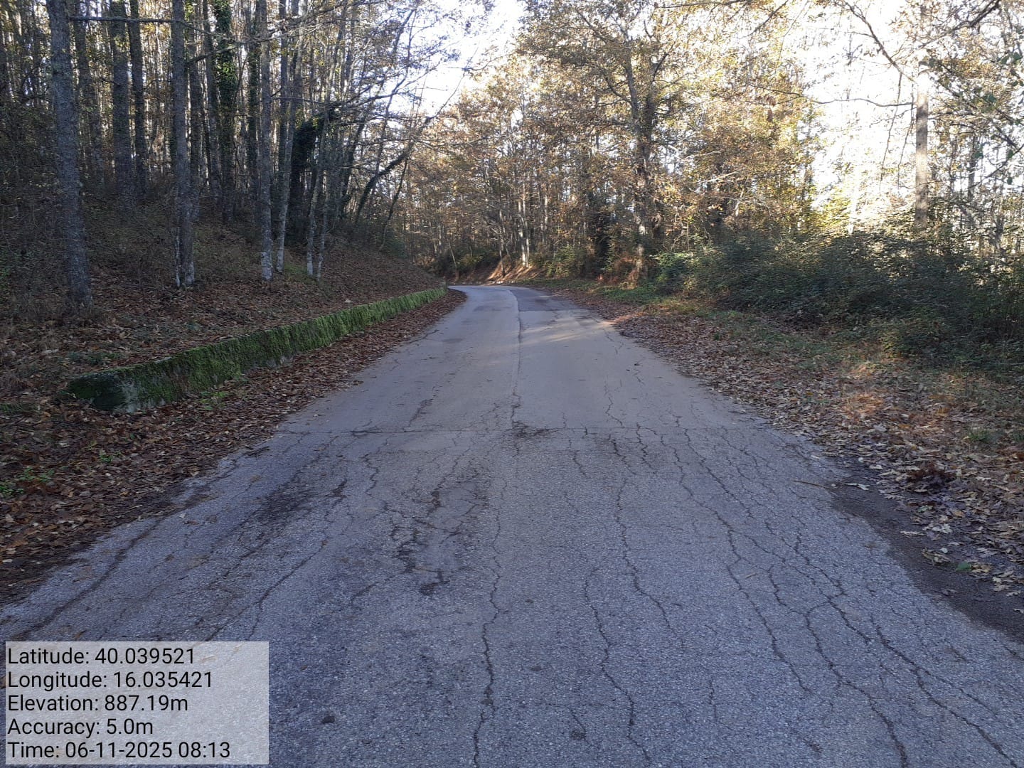 Galleria Fotografica Immagine