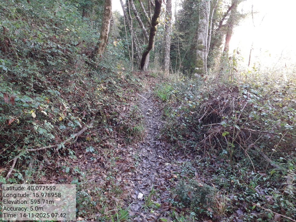 Galleria Fotografica Immagine