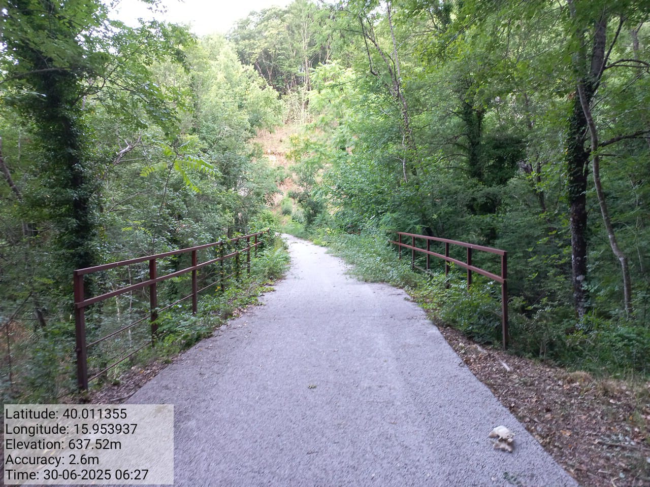 Galleria Fotografica Immagine