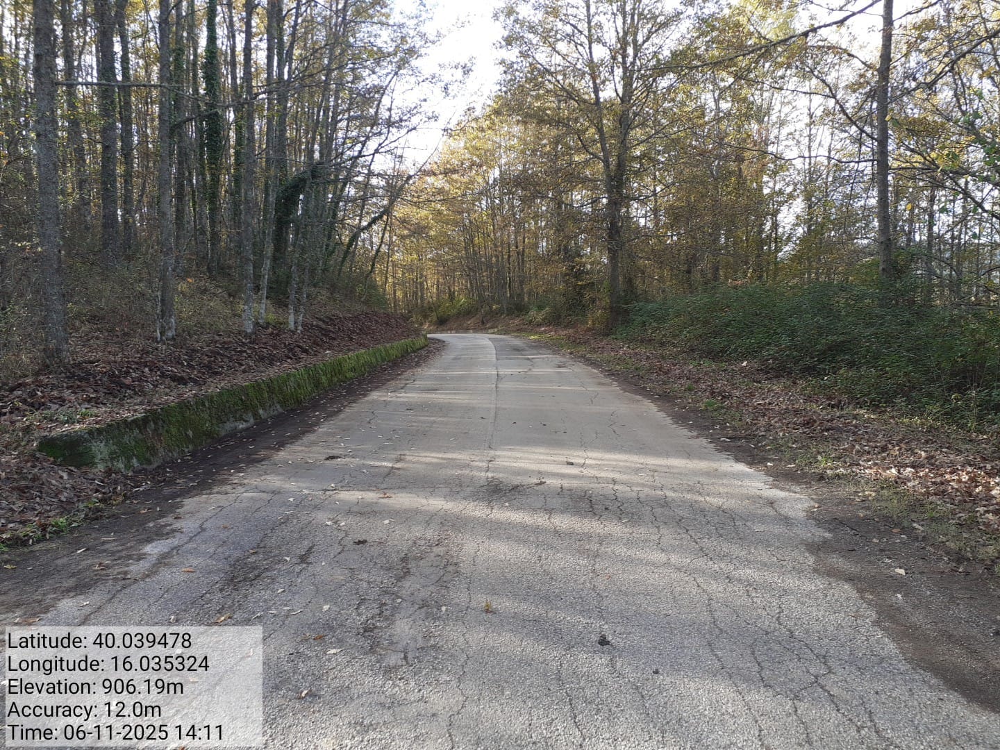 Galleria Fotografica Immagine