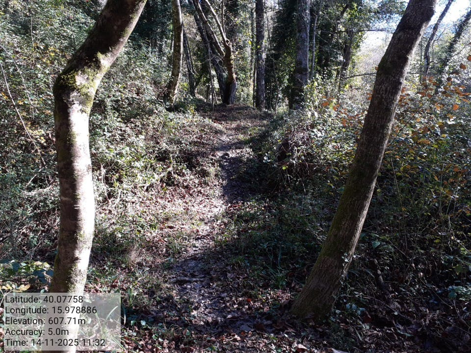 Galleria Fotografica Immagine